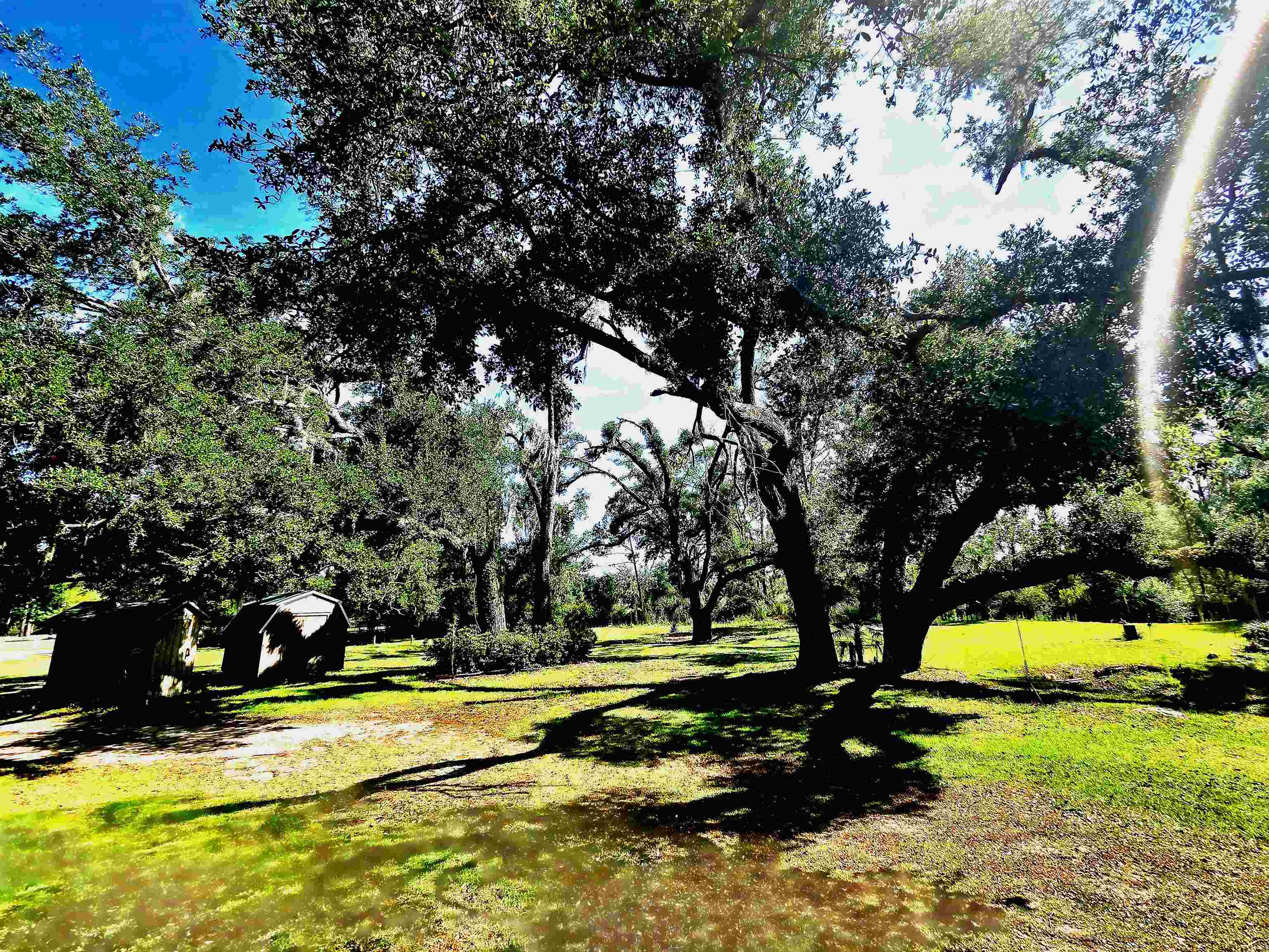 585 Mangum-Close Road Perry, FL 32347 - Photo 10 of 56