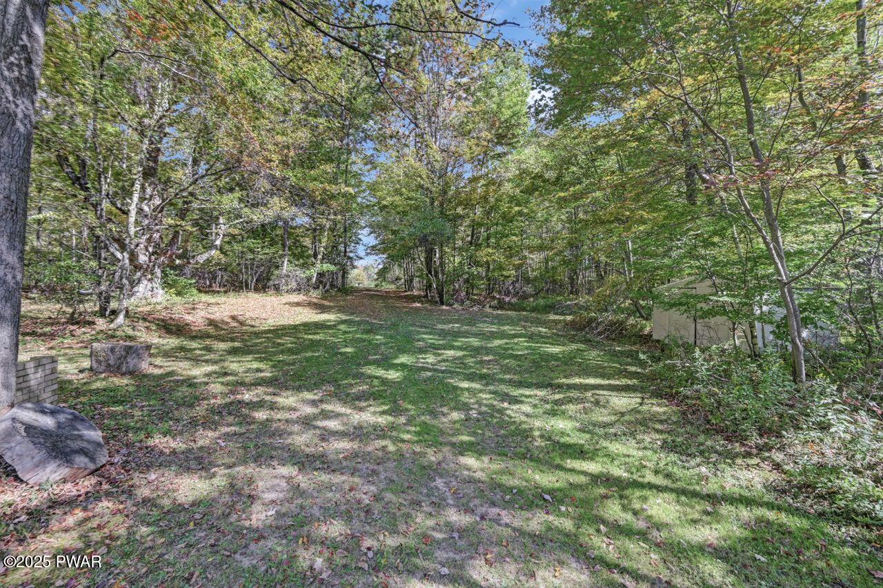 100 Spring Hill Road Moscow, PA 18444 - Photo 77 of 101 a big yard with lots of green space and tiles