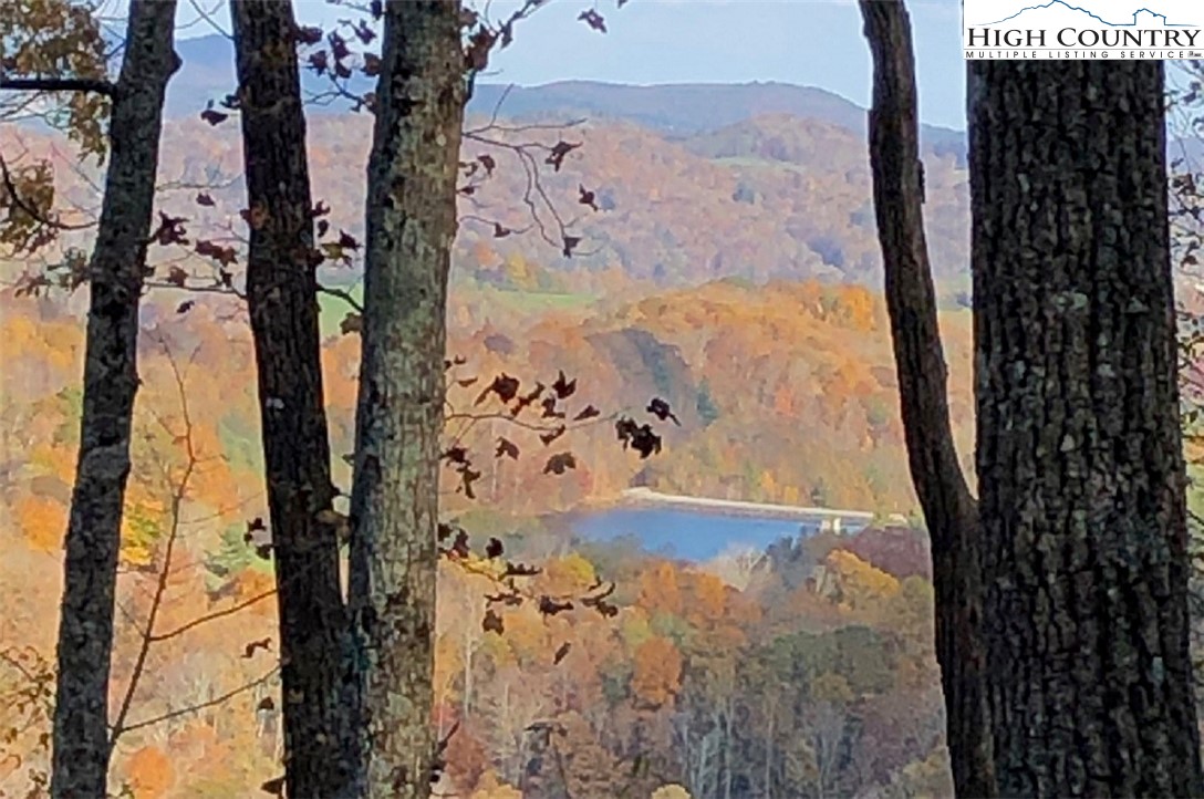 Lot 23 Bob Timberlake Drive Boone, NC 28607 - Photo 2 of 9