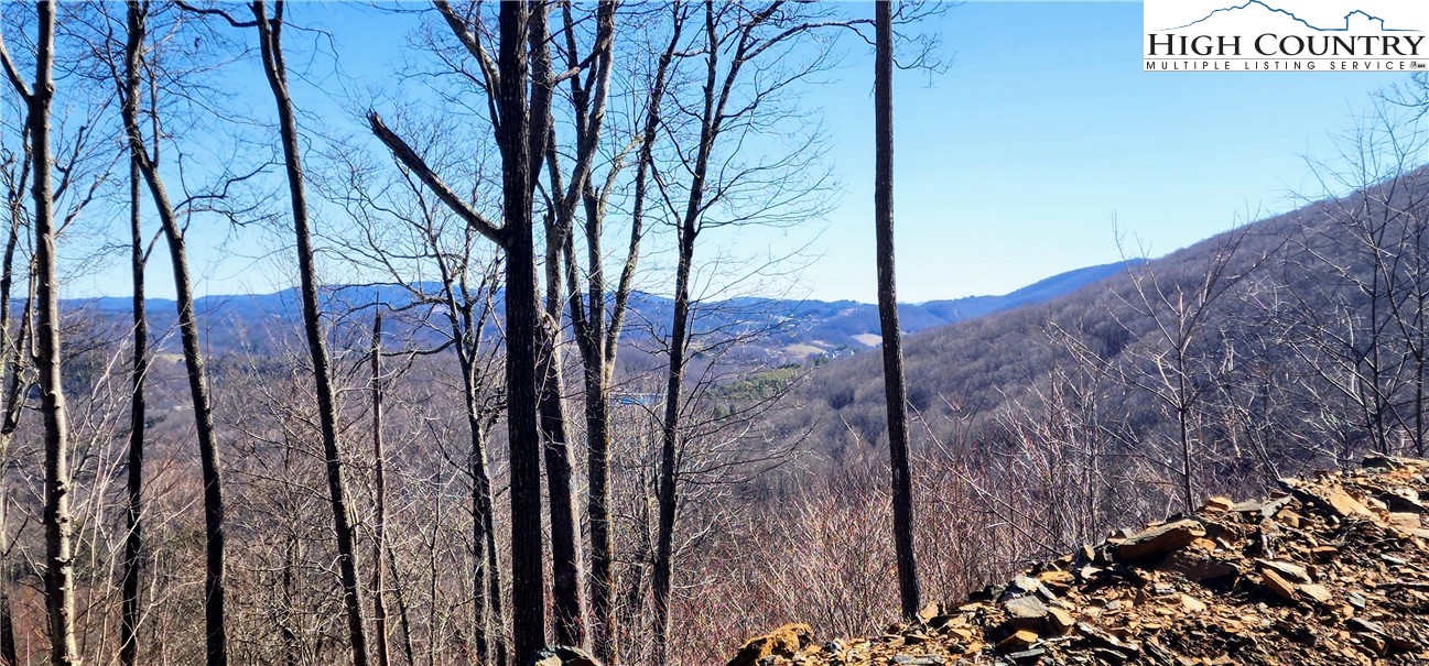 Lot 23 Bob Timberlake Drive Boone, NC 28607 - Photo 3 of 9