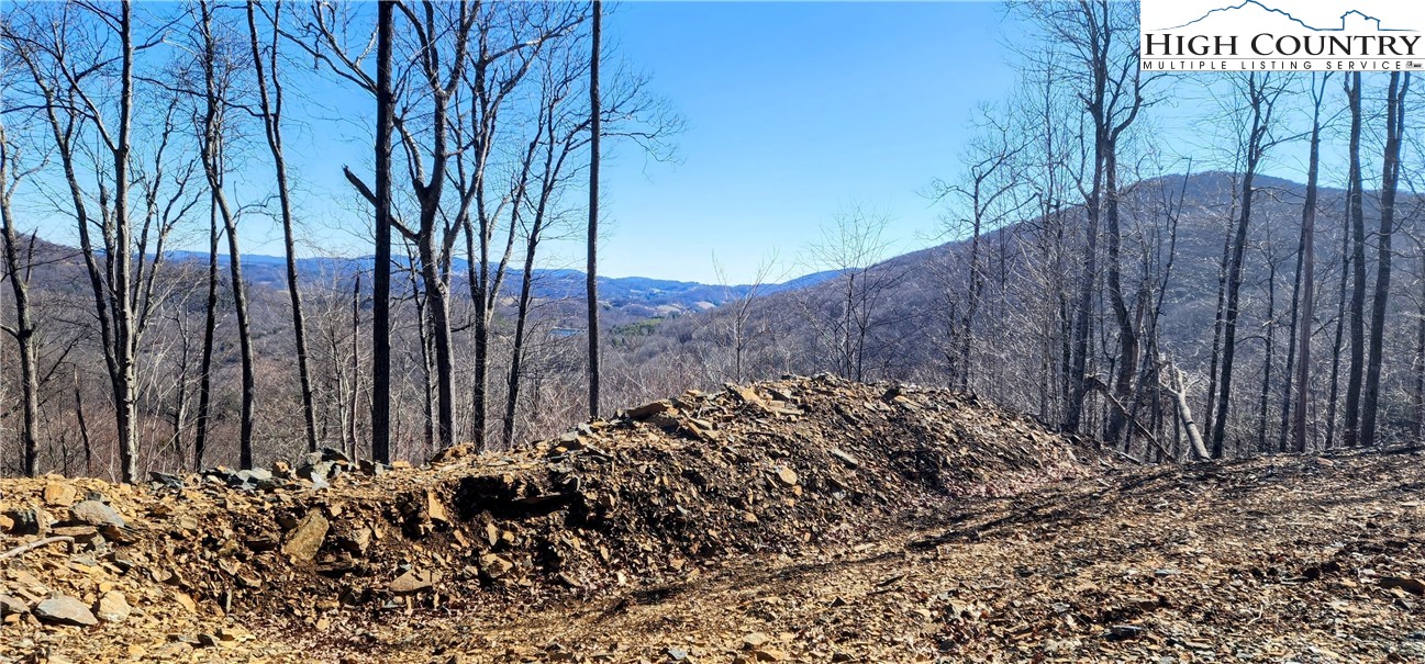 Lot 23 Bob Timberlake Drive Boone, NC 28607 - Photo 4 of 9