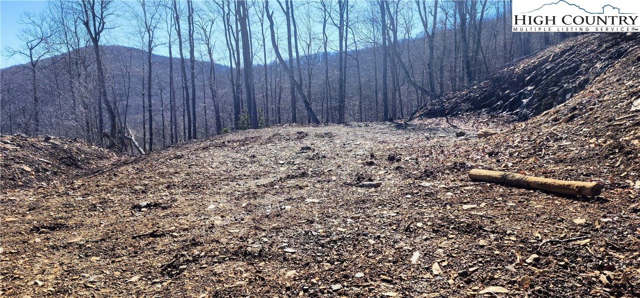 Lot 23 Bob Timberlake Drive Boone, NC 28607 - Photo 5 of 9