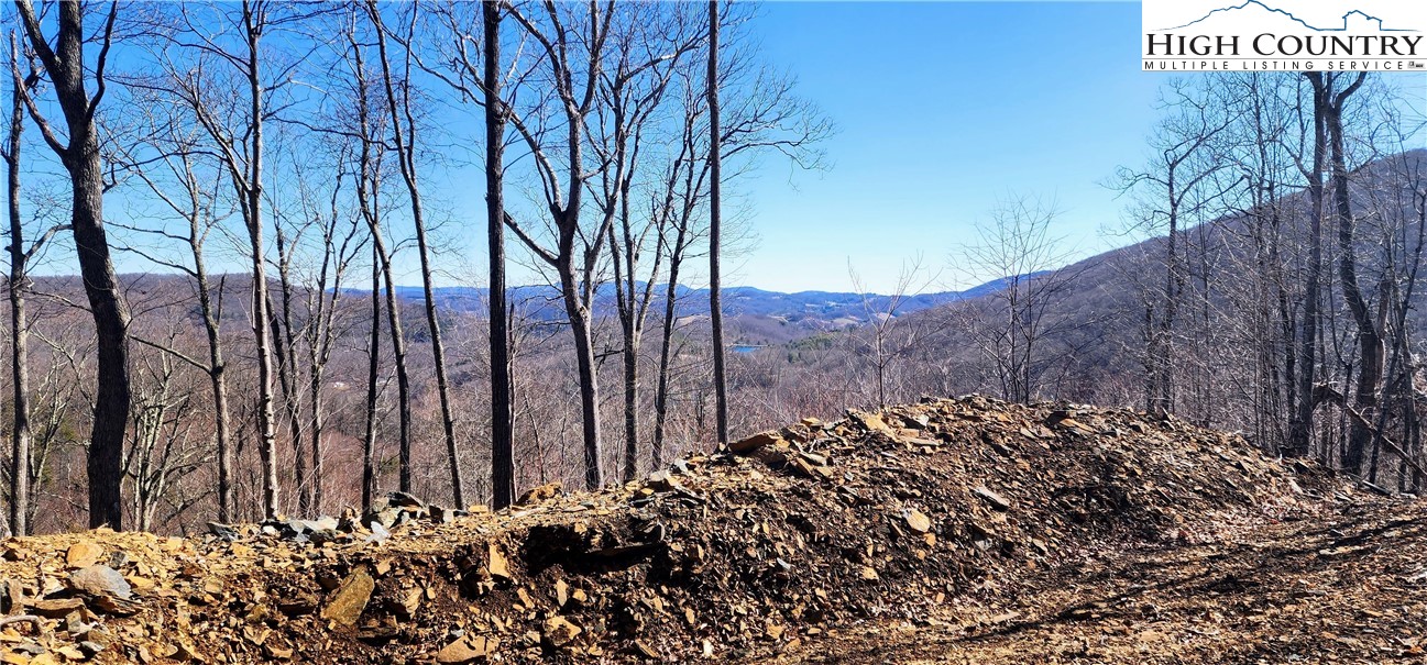 Lot 23 Bob Timberlake Drive Boone, NC 28607 - Photo 7 of 9