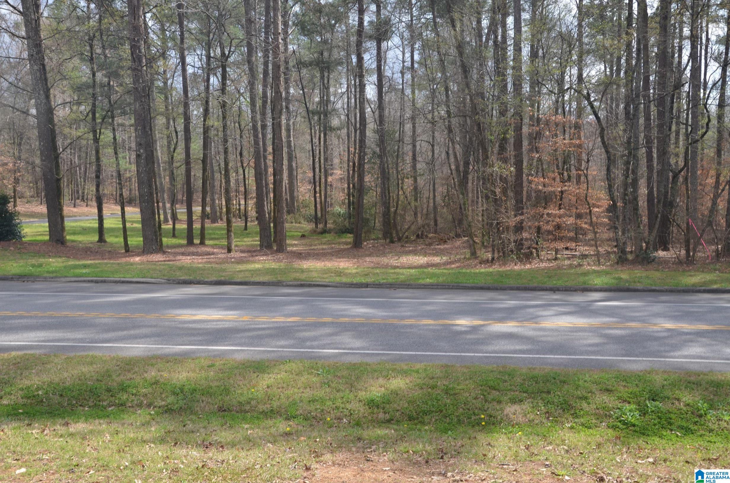 0 Settlers Ridge Alabaster, AL 35007 - Photo 9 of 19