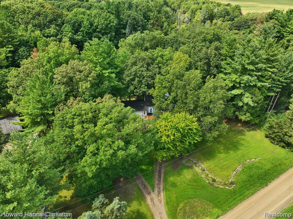 4067 Slattery Road North Branch, MI 48461 - Photo 41 of 54