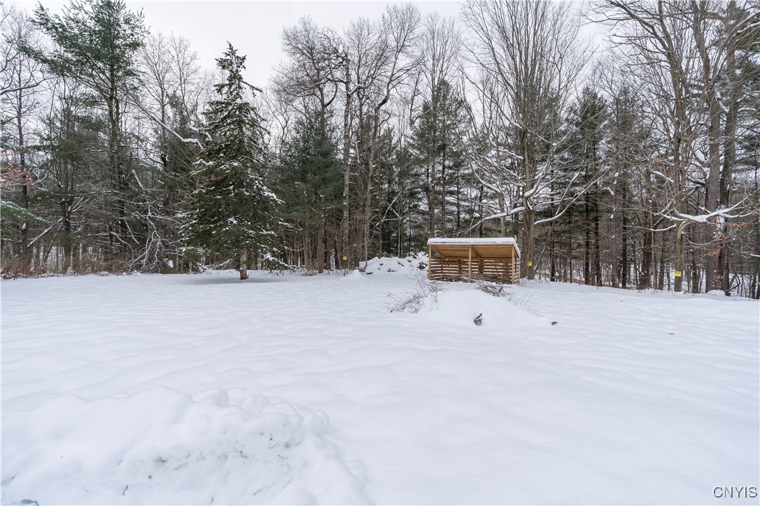 31872 Old St Rte 3 Rutland, NY 13619 - Photo 43 of 50