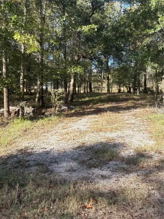 a view of house with trees in the background