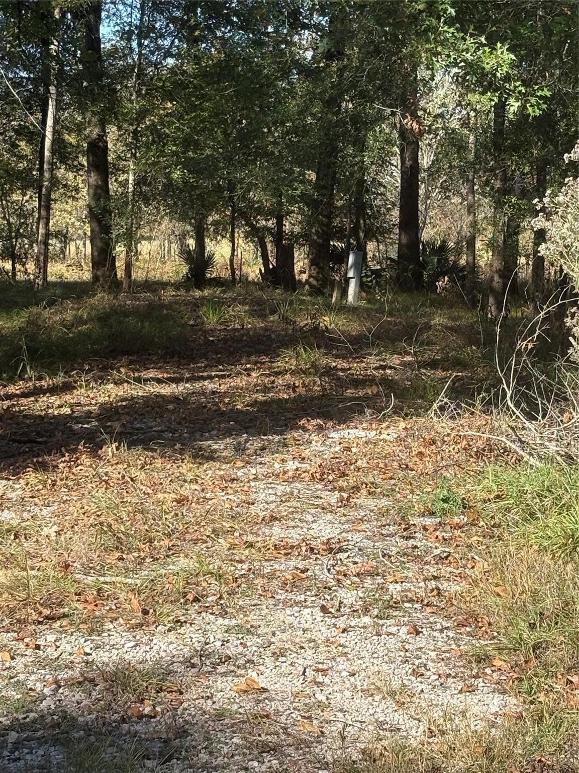 195 Center Street Cleveland, TX 77327 - Photo 6 of 7 a backyard of a house with lots of green space