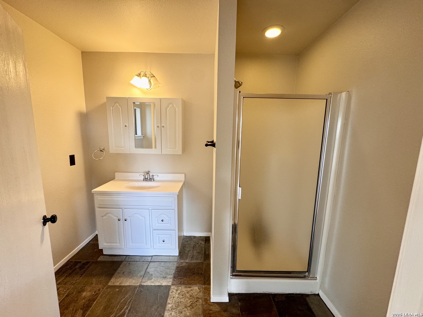 451 Wegener Trail Fischer, TX 78623 - Photo 20 of 43 a bathroom with a sink a mirror and a shower