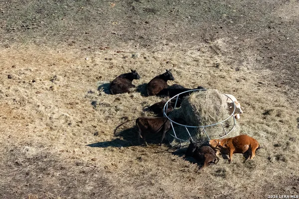 $1,650,000 | 451 Wegener Trail, Fischer, TX 78623