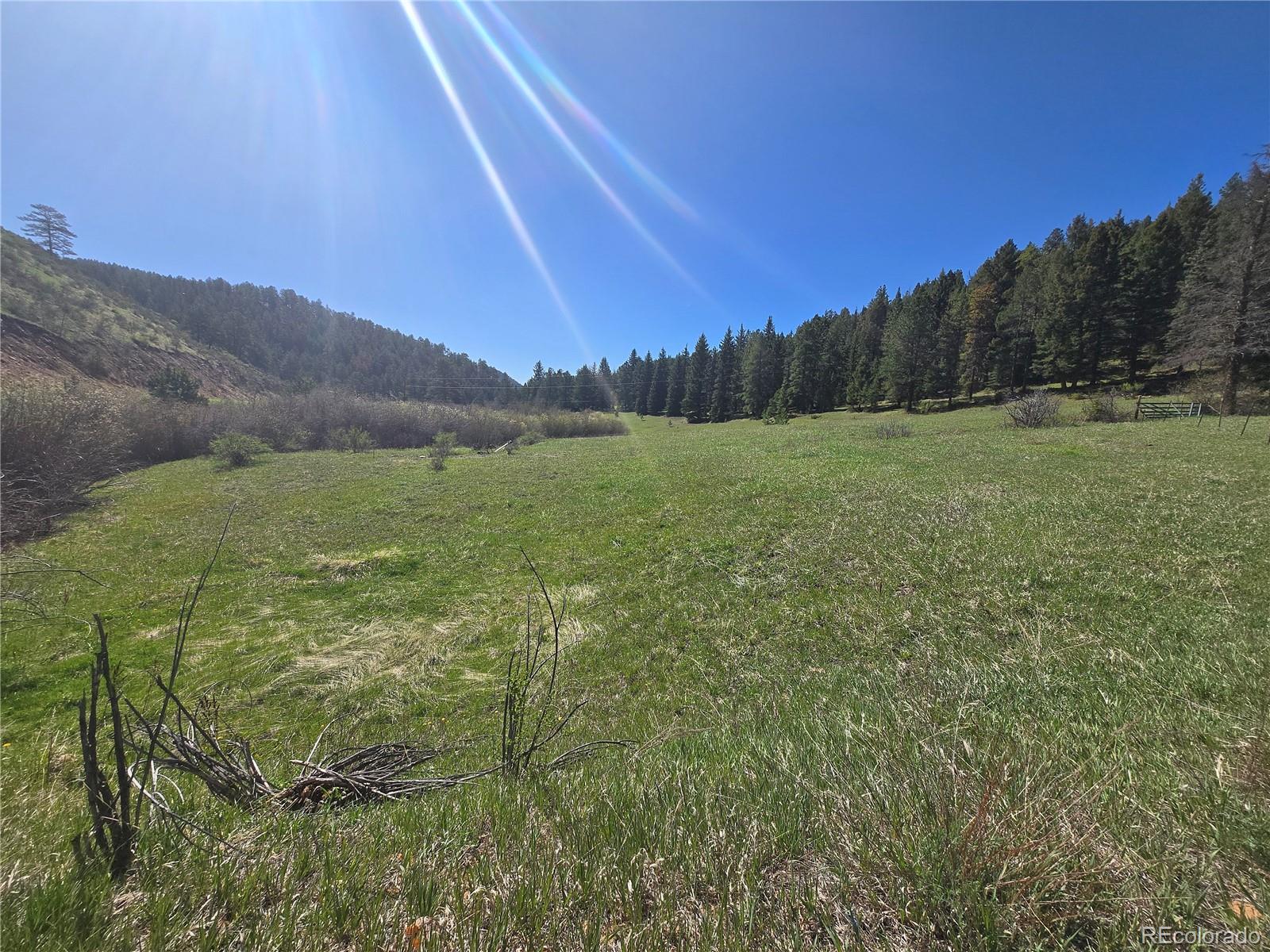 Foxton Road Conifer, CO 80433 - Photo 11 of 27 a view of a field with an ocean