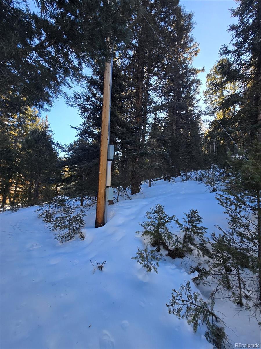 Foxton Road Conifer, CO 80433 - Photo 21 of 27 a backyard of a house with table and chairs
