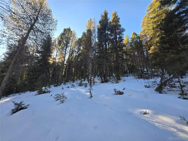 a view of a yard with an outdoor space