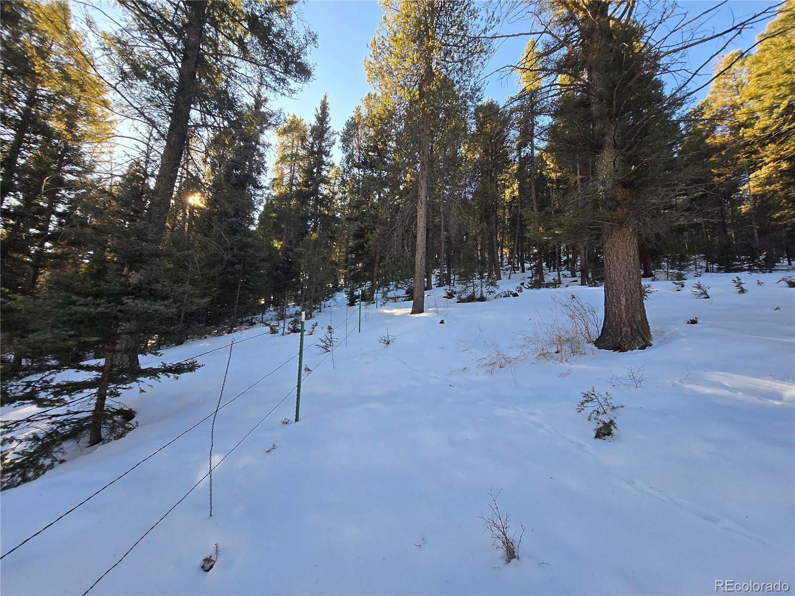 Foxton Road Conifer, CO 80433 - Photo 24 of 27 a view of a park with trees
