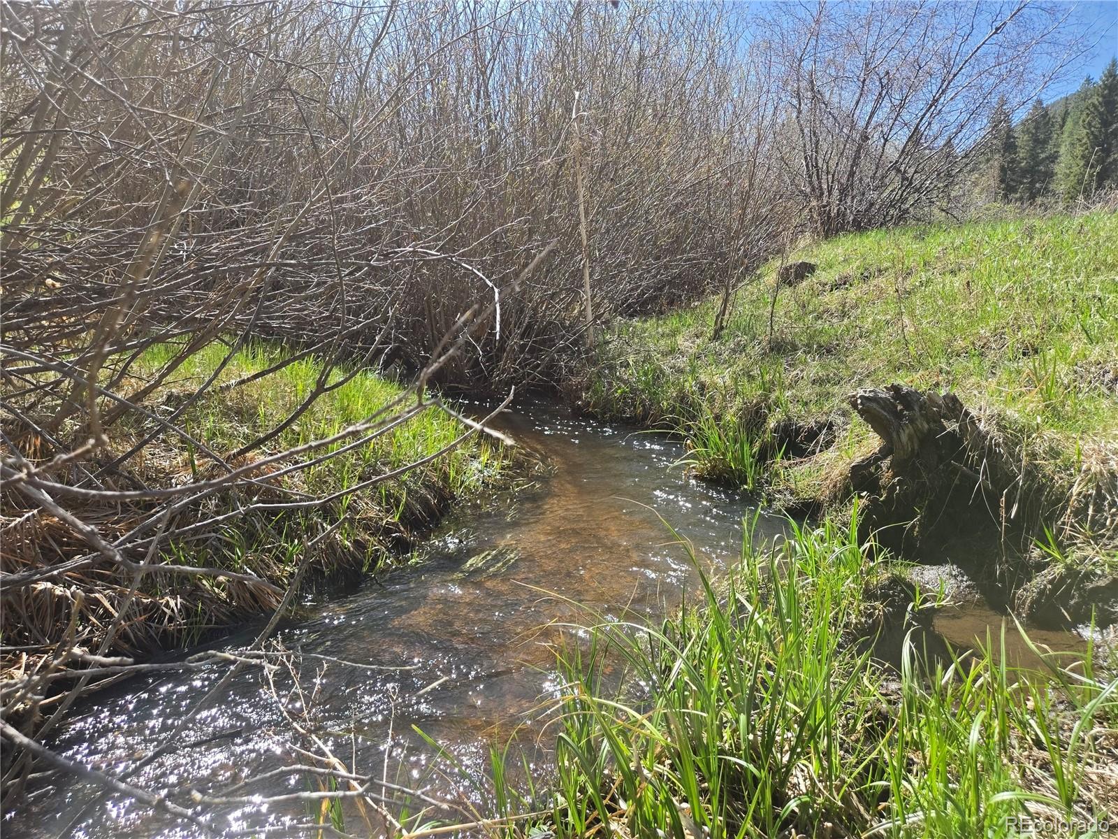 Foxton Road Conifer, CO 80433 - Photo 3 of 27 a view of backyard with tree