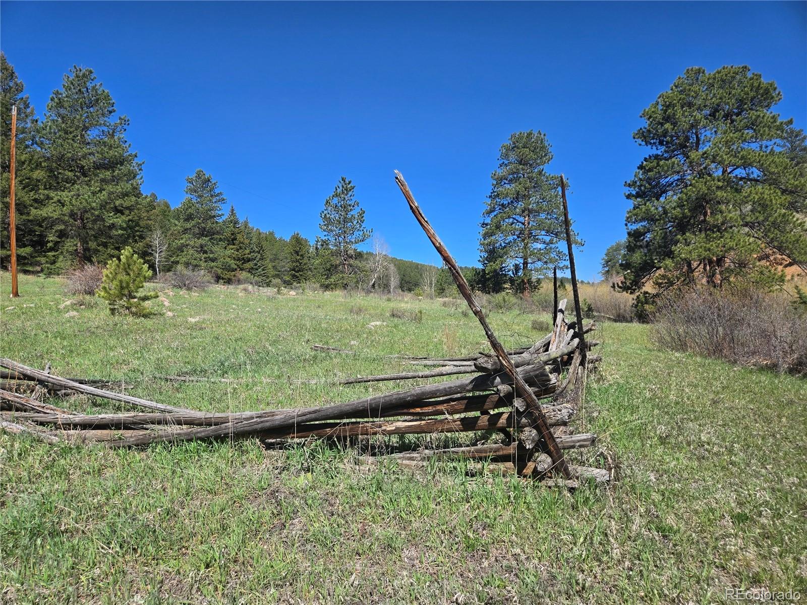Foxton Road Conifer, CO 80433 - Photo 4 of 27 a view of a park