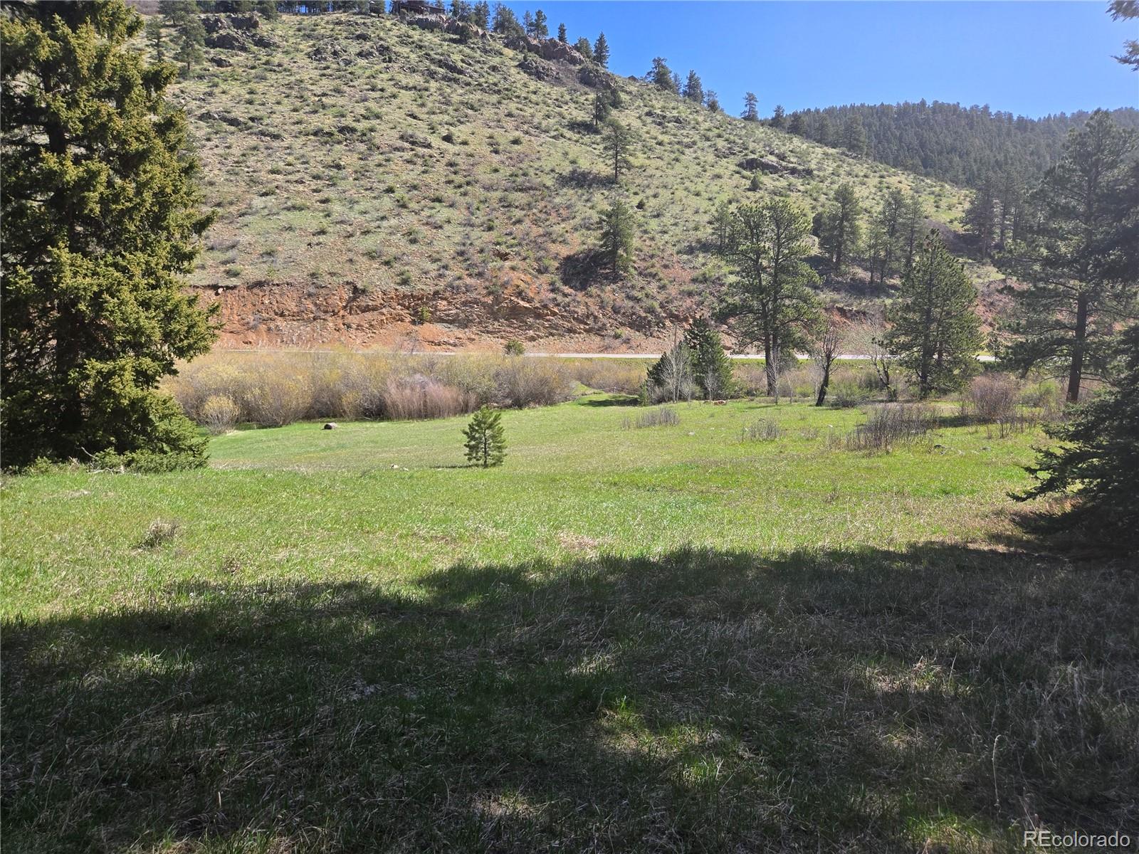Foxton Road Conifer, CO 80433 - Photo 6 of 27 a view of a field with an trees