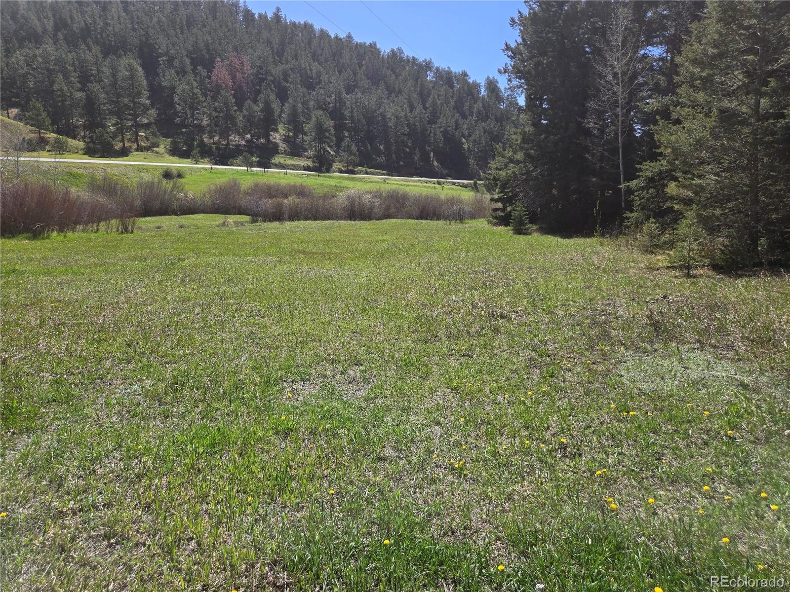 Foxton Road Conifer, CO 80433 - Photo 7 of 27 a view of green field with trees in the background