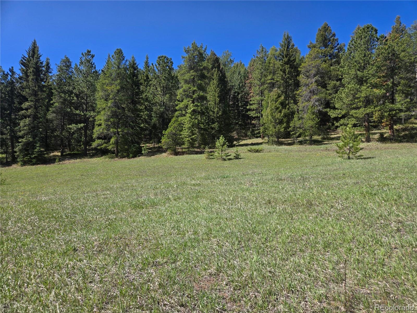 Foxton Road Conifer, CO 80433 - Photo 9 of 27 a backyard of a house with lots of green space