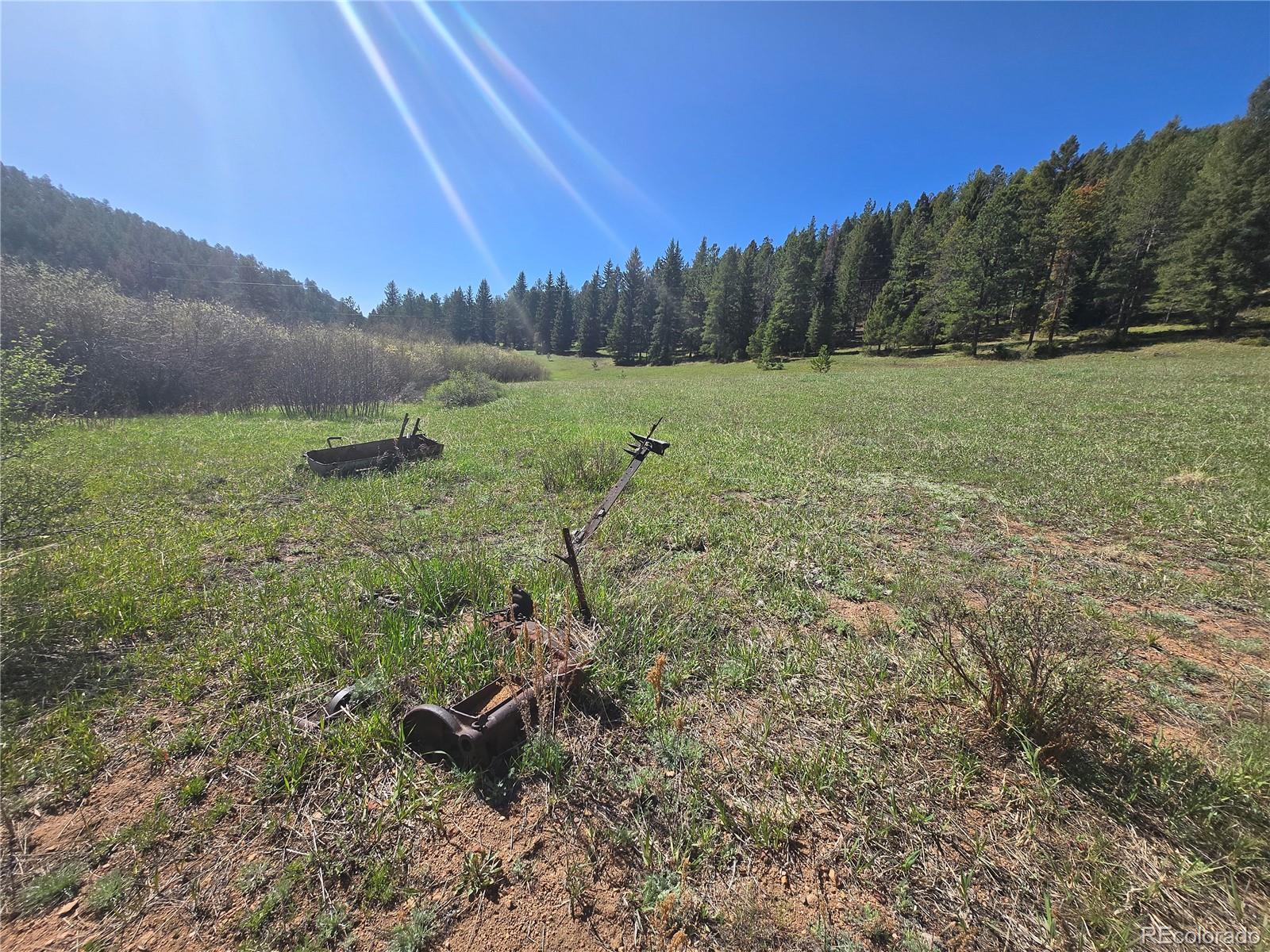 Foxton Road Conifer, CO 80433 - Photo 10 of 27 a view of a garden with a tree in the background