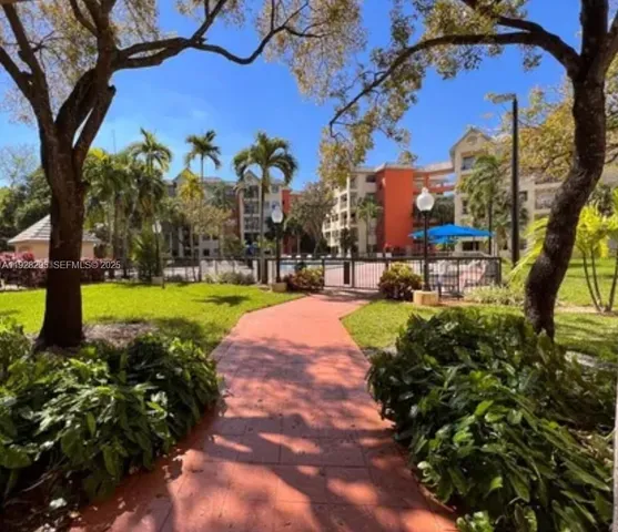 a view of a yard with plants