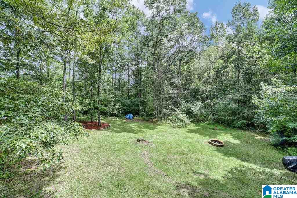 2407 Evergreen Road Springville, AL 35146 - Photo 18 of 23