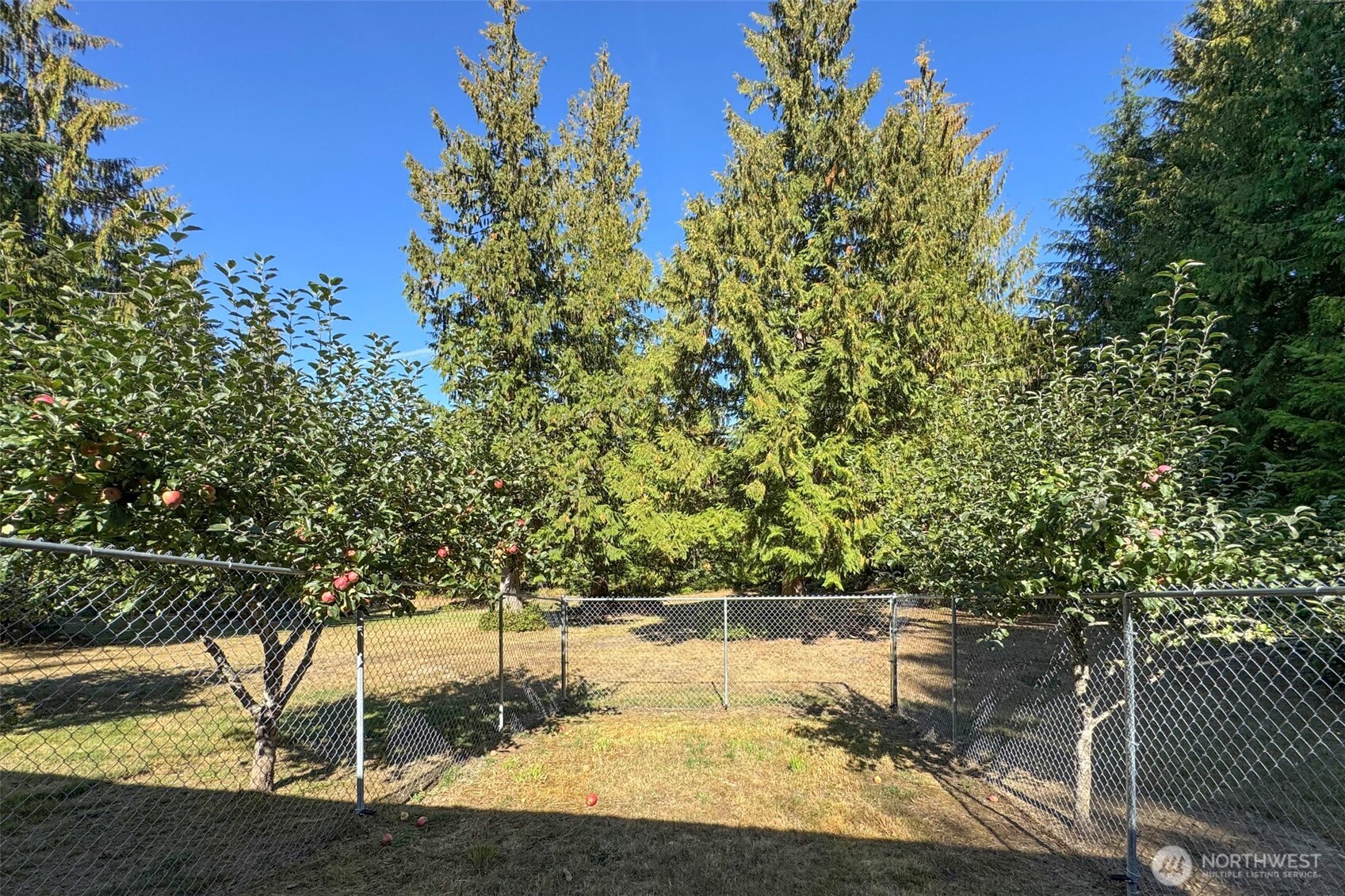 5418 South Old Mill Road Port Angeles, WA 98362 - Photo 35 of 39 a view of a lake view