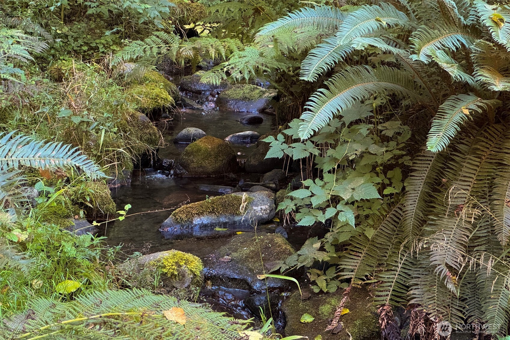 5418 South Old Mill Road Port Angeles, WA 98362 - Photo 38 of 39