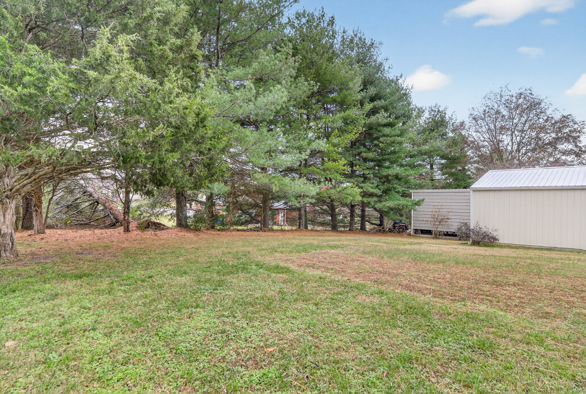 115 Calista Road White House, TN 37188 - Photo 15 of 38 a backyard of a house with lots of green space