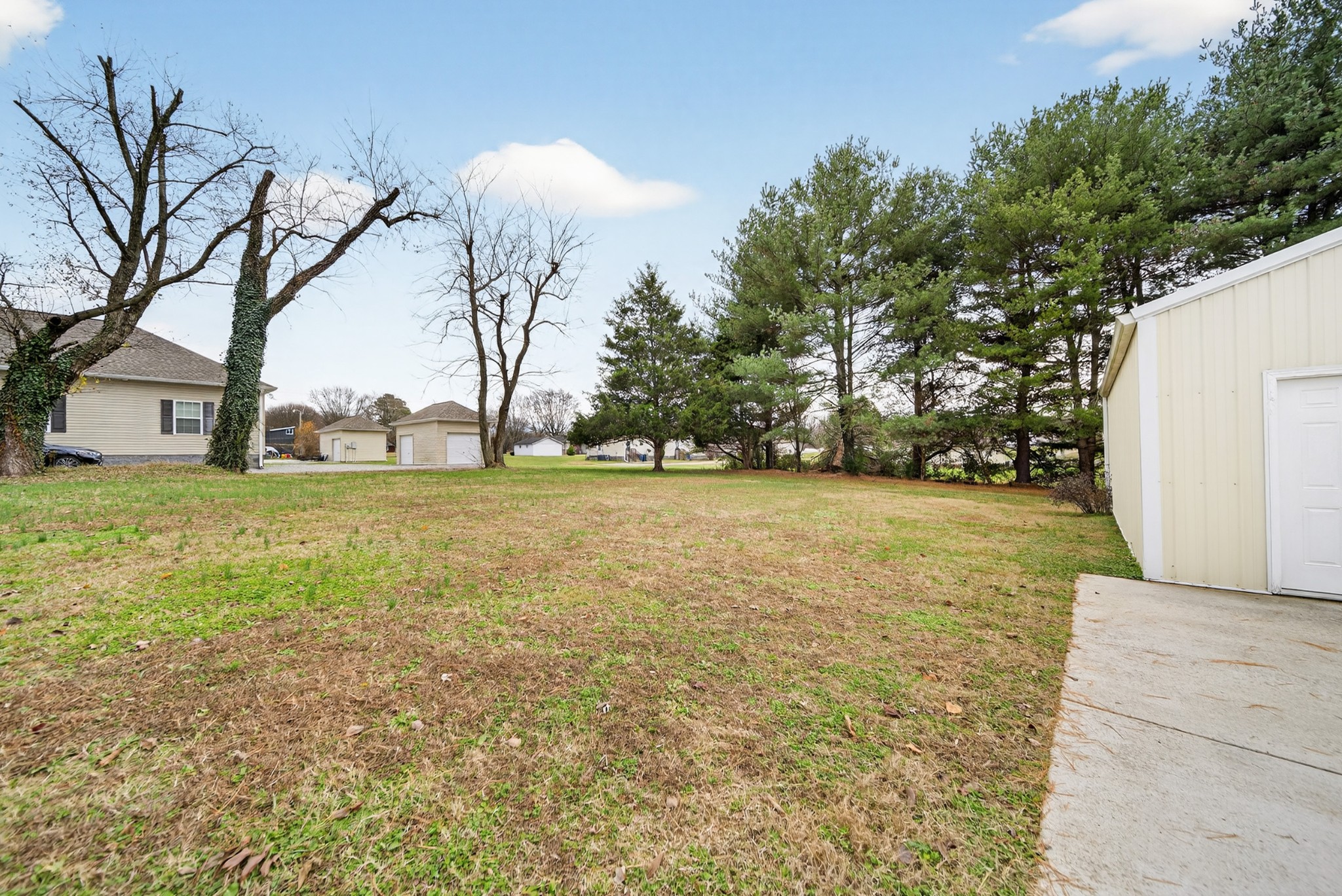 115 Calista Road White House, TN 37188 - Photo 17 of 38 a view of yard with tree