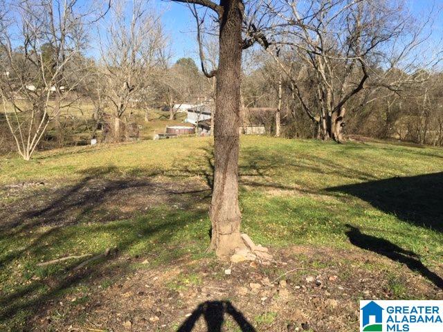193 11th Street Ragland, AL 35131 - Photo 36 of 36