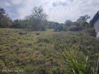 4215 Aurantia Road Mims, FL 32754 - Photo 12 of 29 IMG_9719