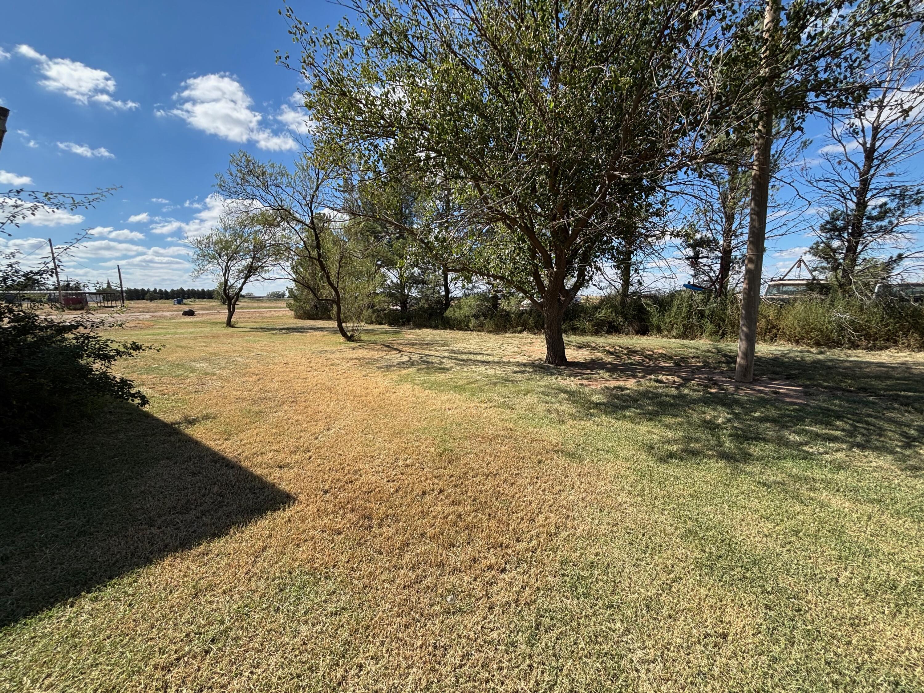 1502 Culpepper Avenue Wilson, TX 79381 - Photo 25 of 26 a view of empty space with large trees