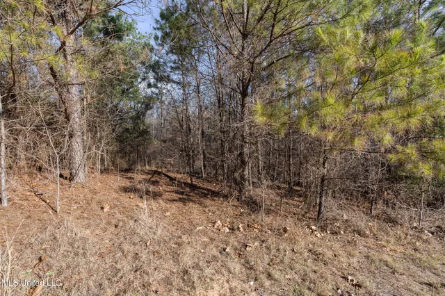 $295,000 | 5866 Marianna Road, Byhalia, MS 38611