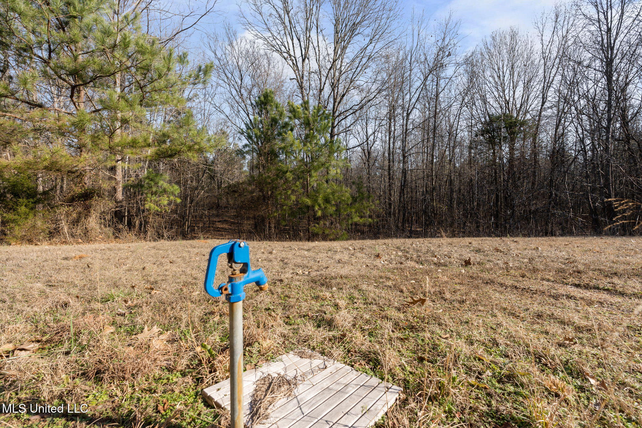 5866 Marianna Road Byhalia, MS 38611 - Photo 25 of 26 23-web-or-mls-5866 Marianna Rd23