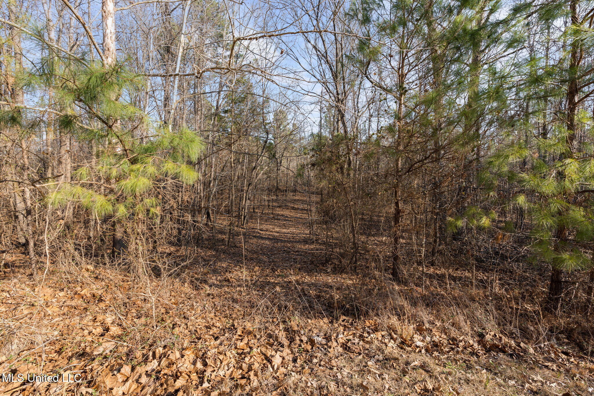 5866 Marianna Road Byhalia, MS 38611 - Photo 5 of 26 24-web-or-mls-5866 Marianna Rd24