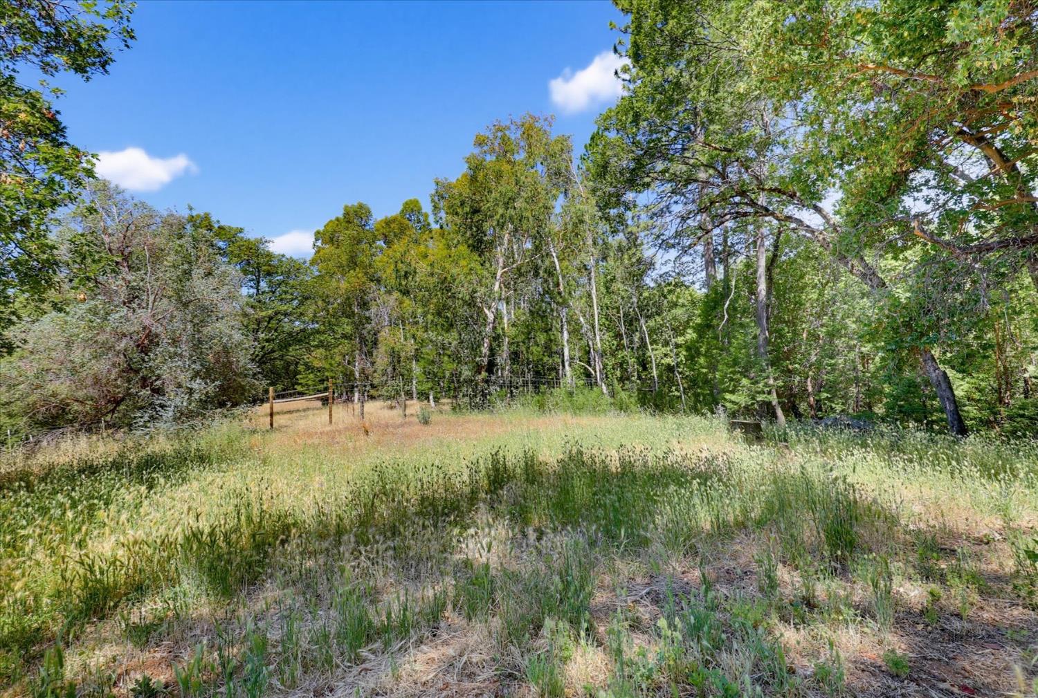 12666 Robinson Road Nevada City, CA 95959 - Photo 64 of 72