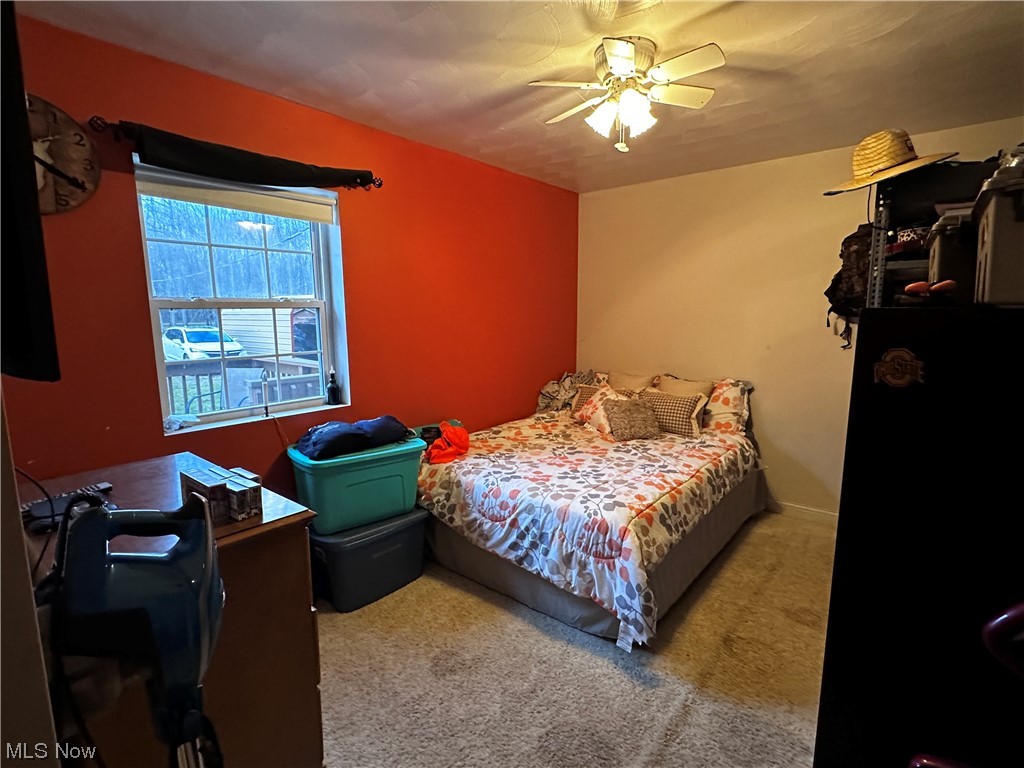 50748 Shenandoah Road Caldwell, OH 43724 - Photo 16 of 43 Bedroom featuring ceiling fan and carpet flooring
