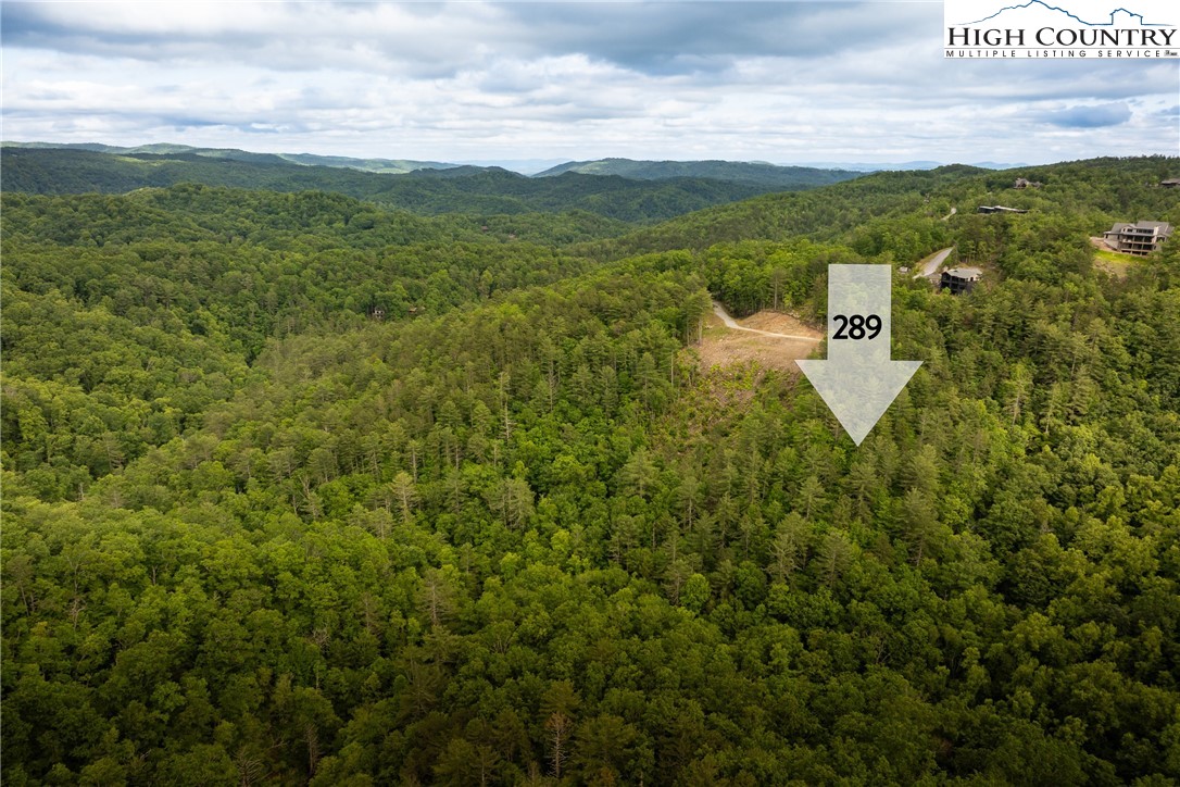 289 Ninebark Road Boone, NC 28607 - Photo 8 of 40