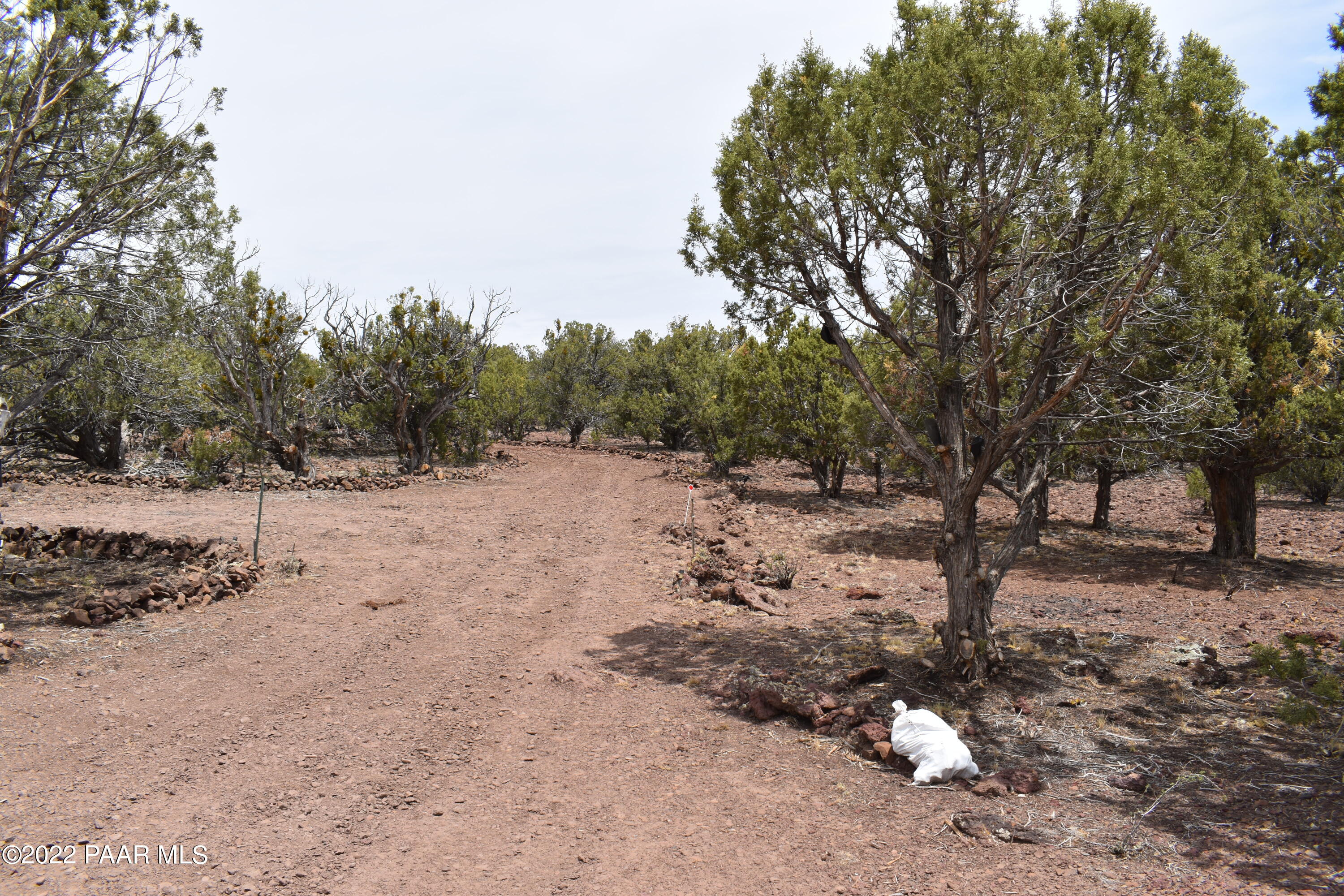 409 Ranch Road Ash Fork, AZ 86320 - Photo 44 of 68 DSC_0051