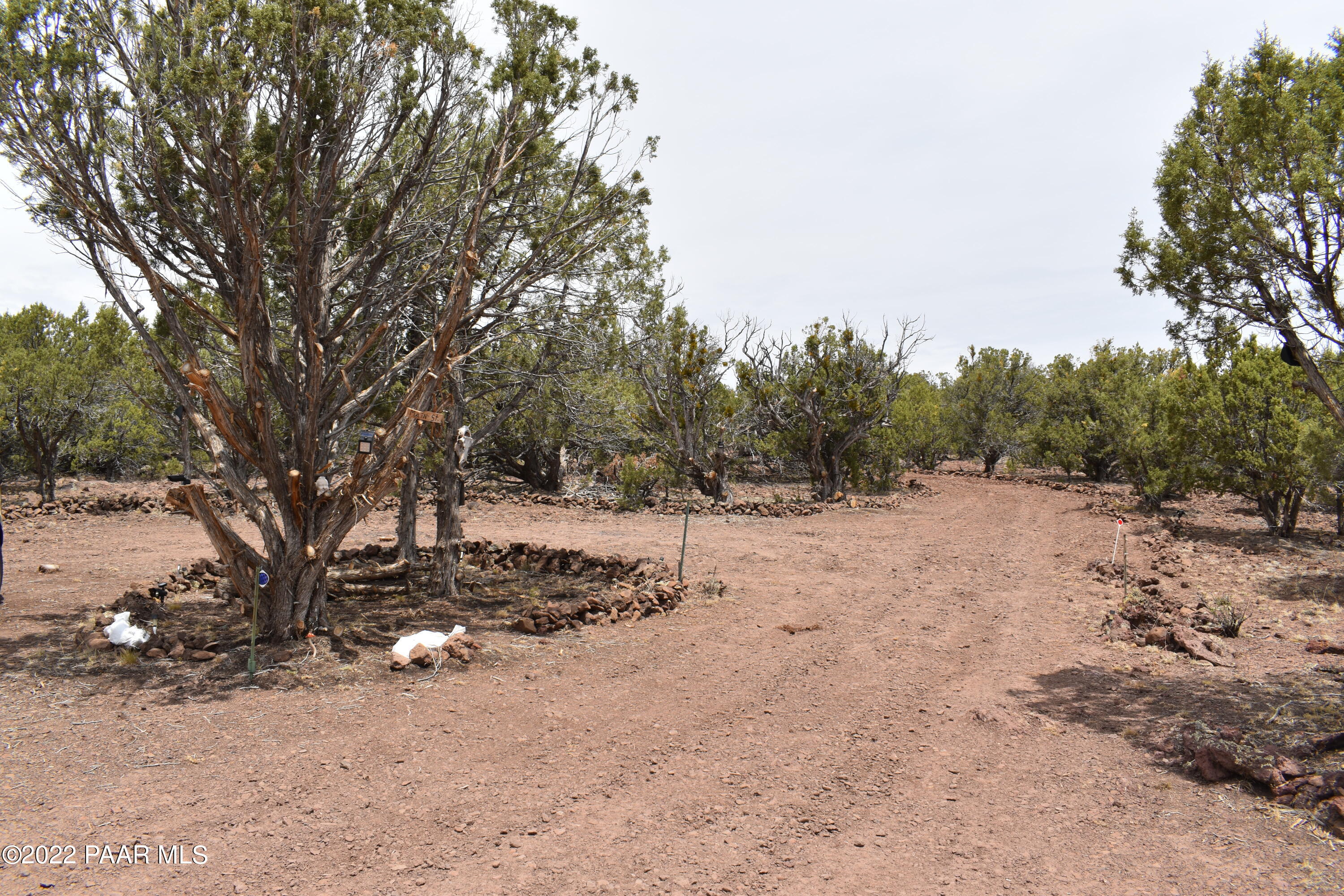 409 Ranch Road Ash Fork, AZ 86320 - Photo 45 of 68 DSC_0052 (1)
