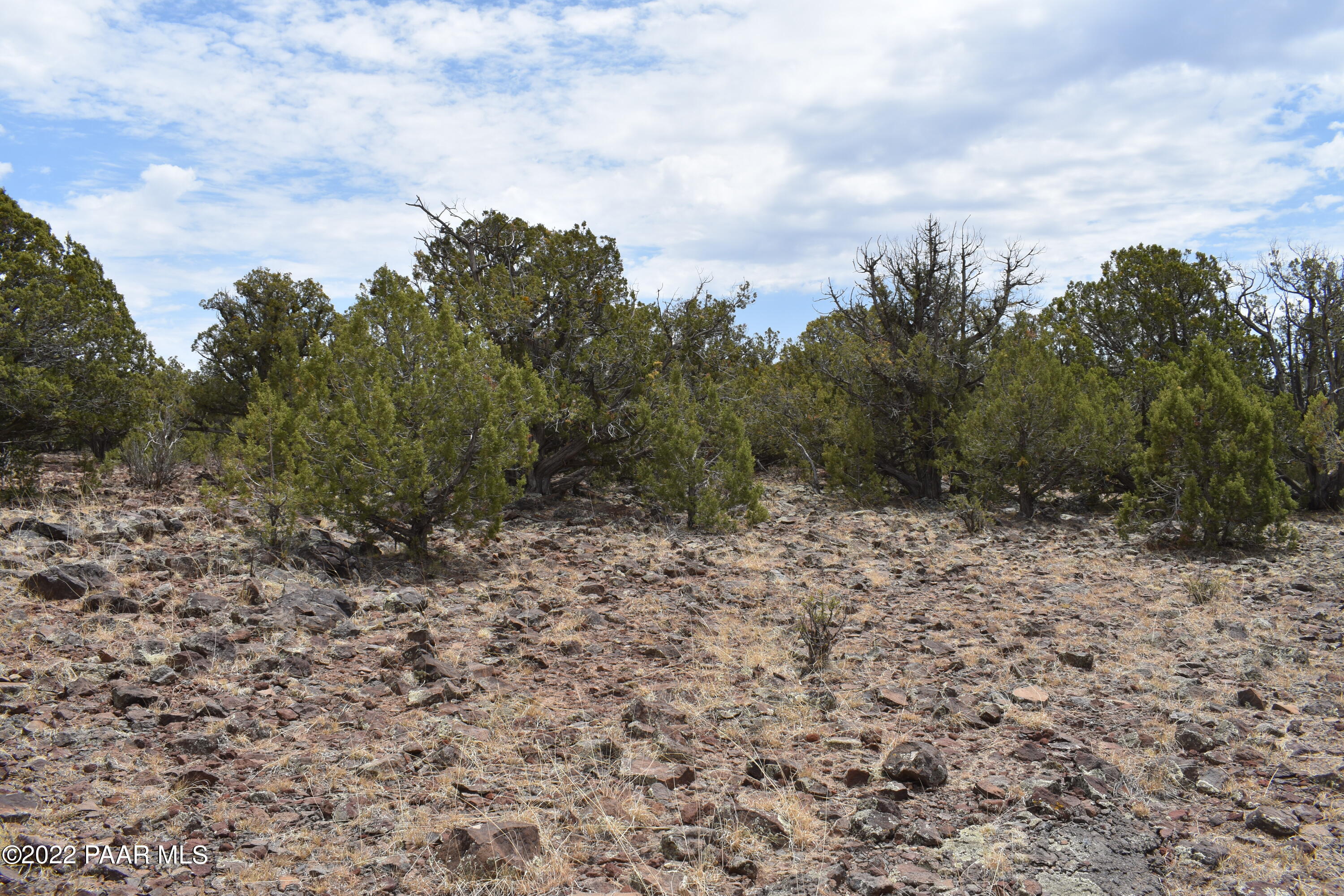 409 Ranch Road Ash Fork, AZ 86320 - Photo 54 of 68 DSC_0064