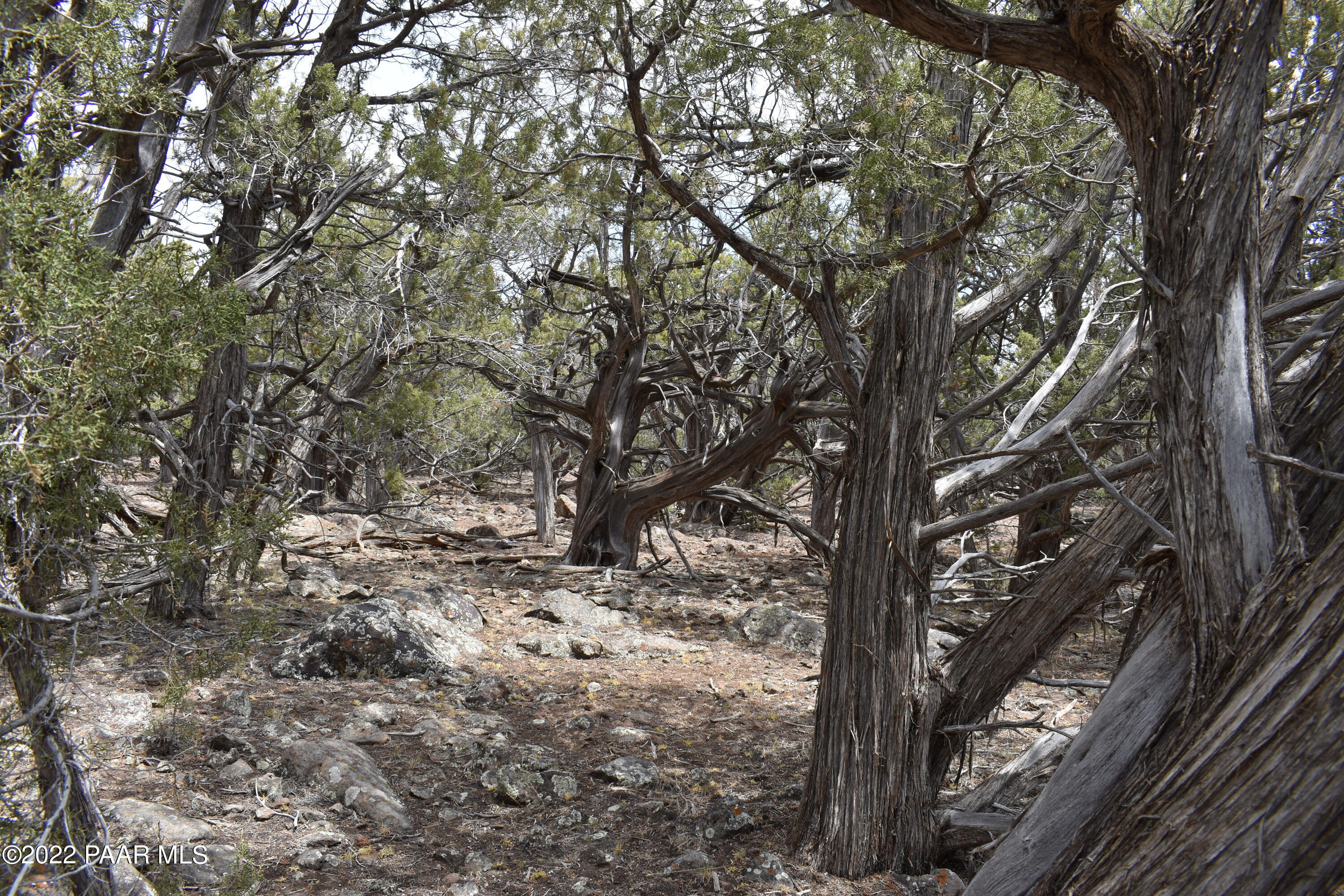 409 Ranch Road Ash Fork, AZ 86320 - Photo 56 of 68 DSC_0068 (1)