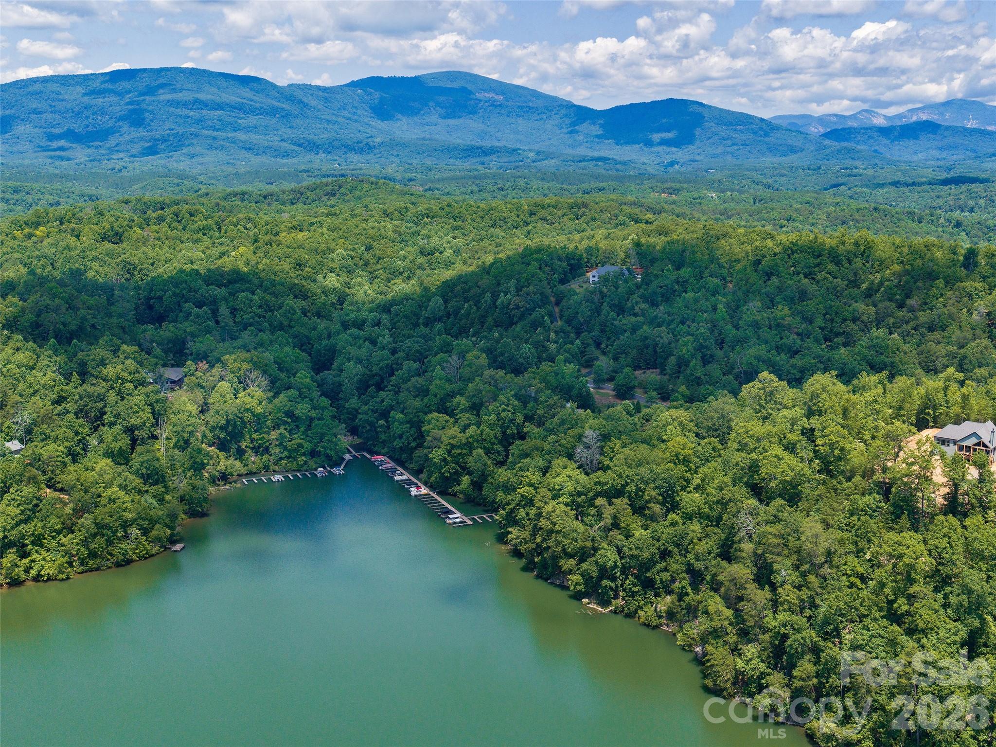 Lot 3 Loggers Pass Ln Mill Spring Mill Spring, NC 28756 - Photo 10 of 13