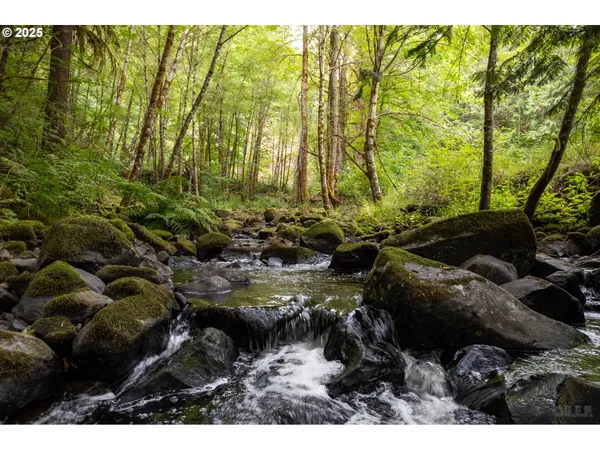 $650,000 | 30004 Scappoose Vernonia Highway, Scappoose, OR 97056