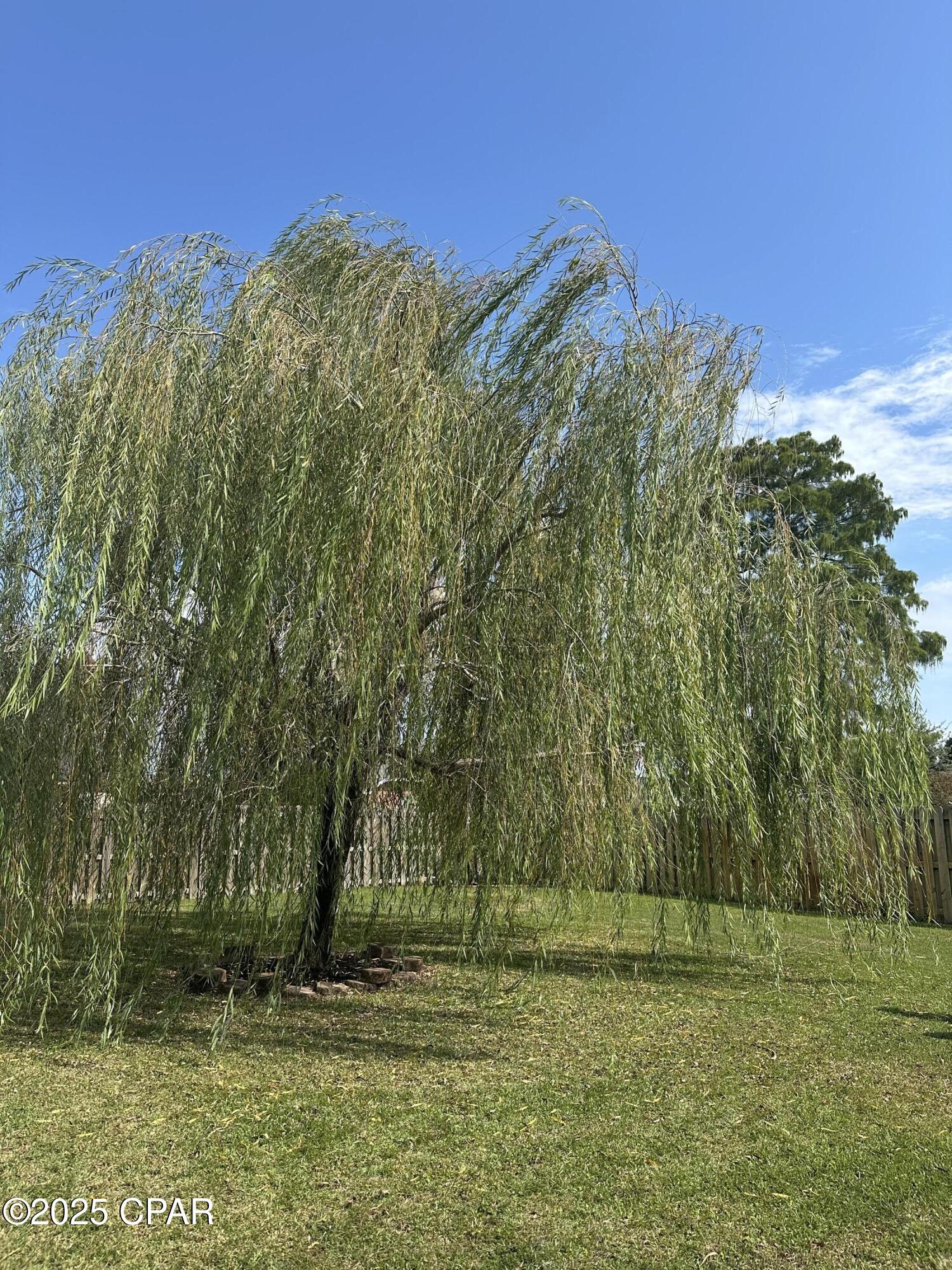 1307 New Jersey Avenue Lynn Haven, FL 32444 - Photo 9 of 47