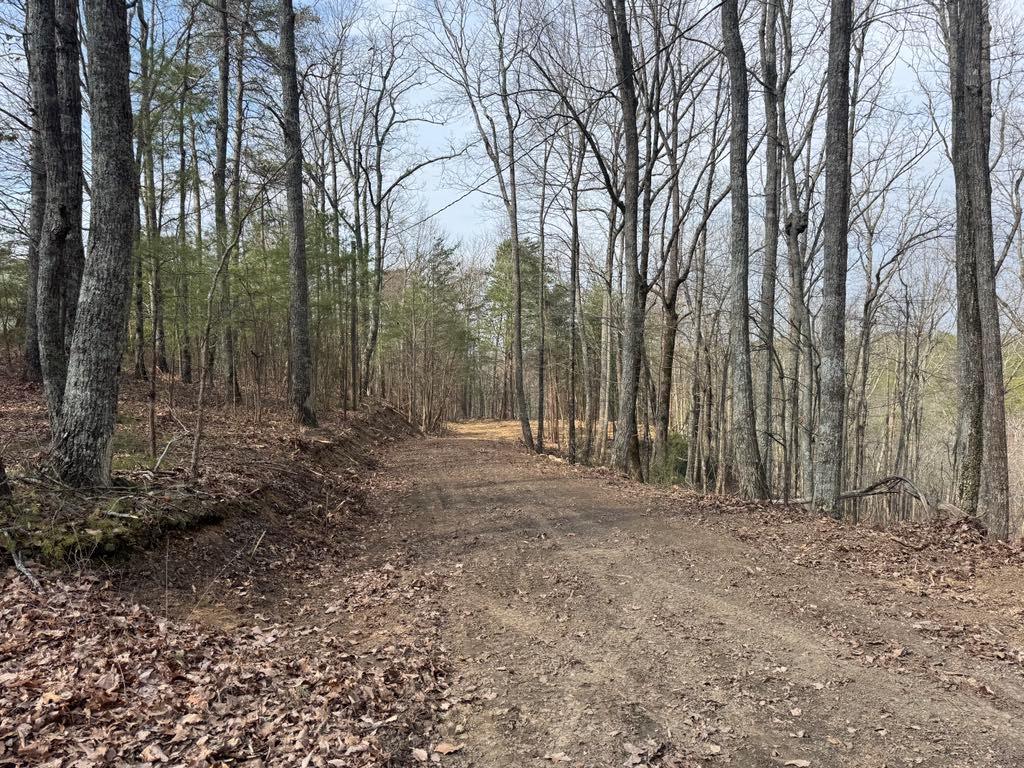 1450 Hanna Drive Ranger, GA 30734 - Photo 11 of 27
