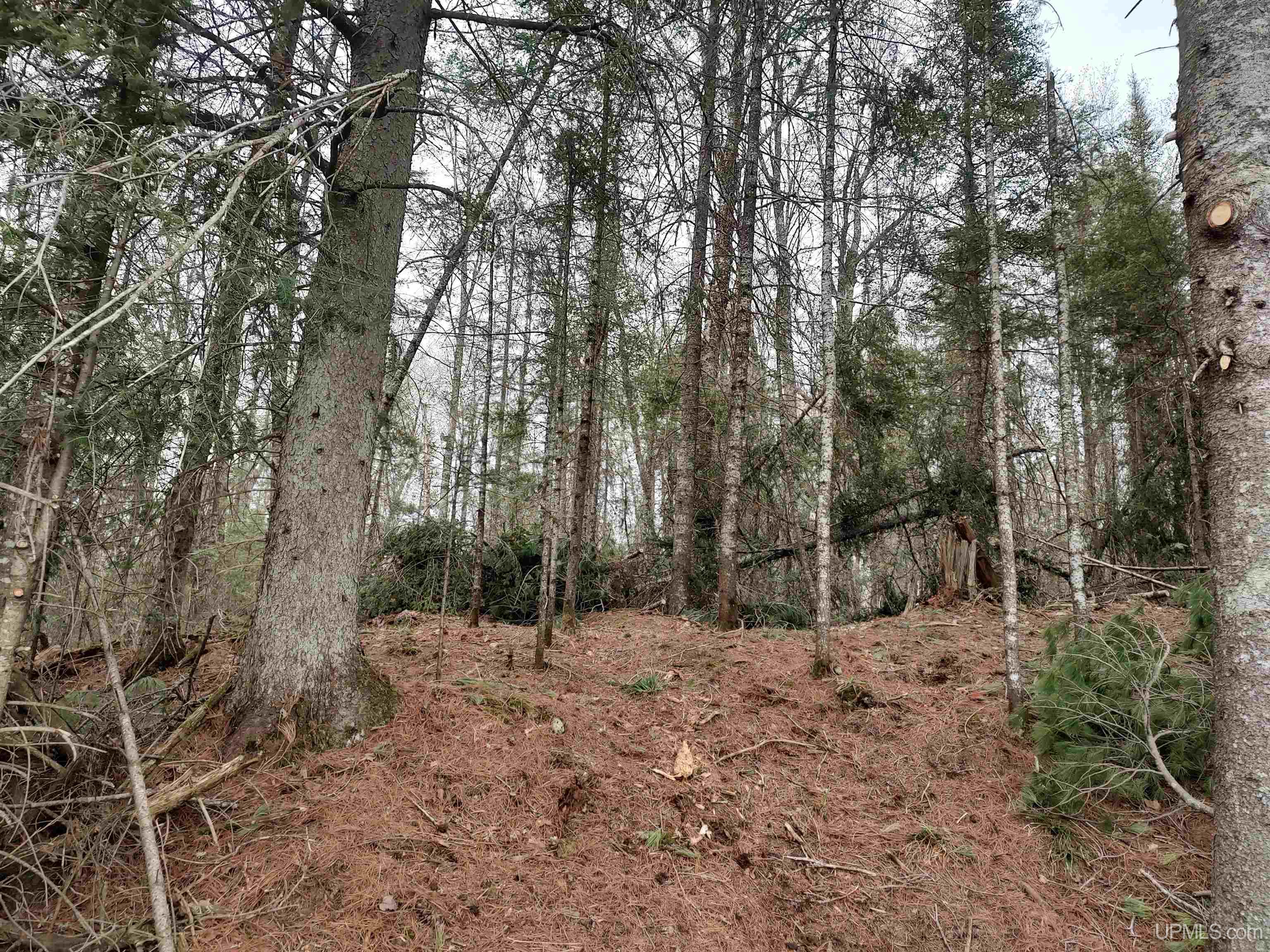 10 Fence Lake Road Michigamme, MI 49861 - Photo 20 of 42
