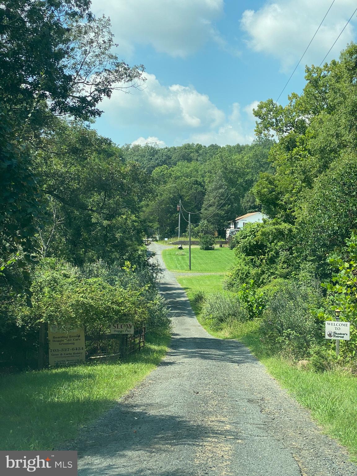 22313 Evergreen Mills Road Leesburg, VA 20175 - Photo 3 of 8 Long Private Driveway