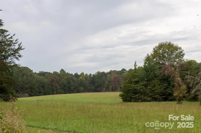 a view of a field with an ocean